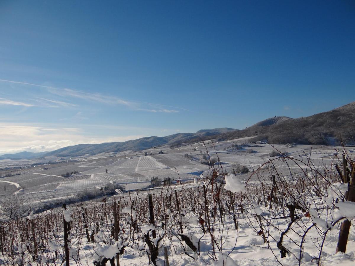 Au Coeur Des Vignes Bergheim Exterior foto