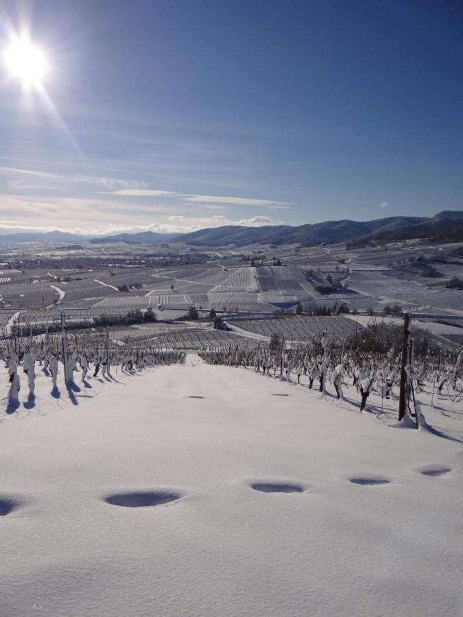 Au Coeur Des Vignes Bergheim Exterior foto