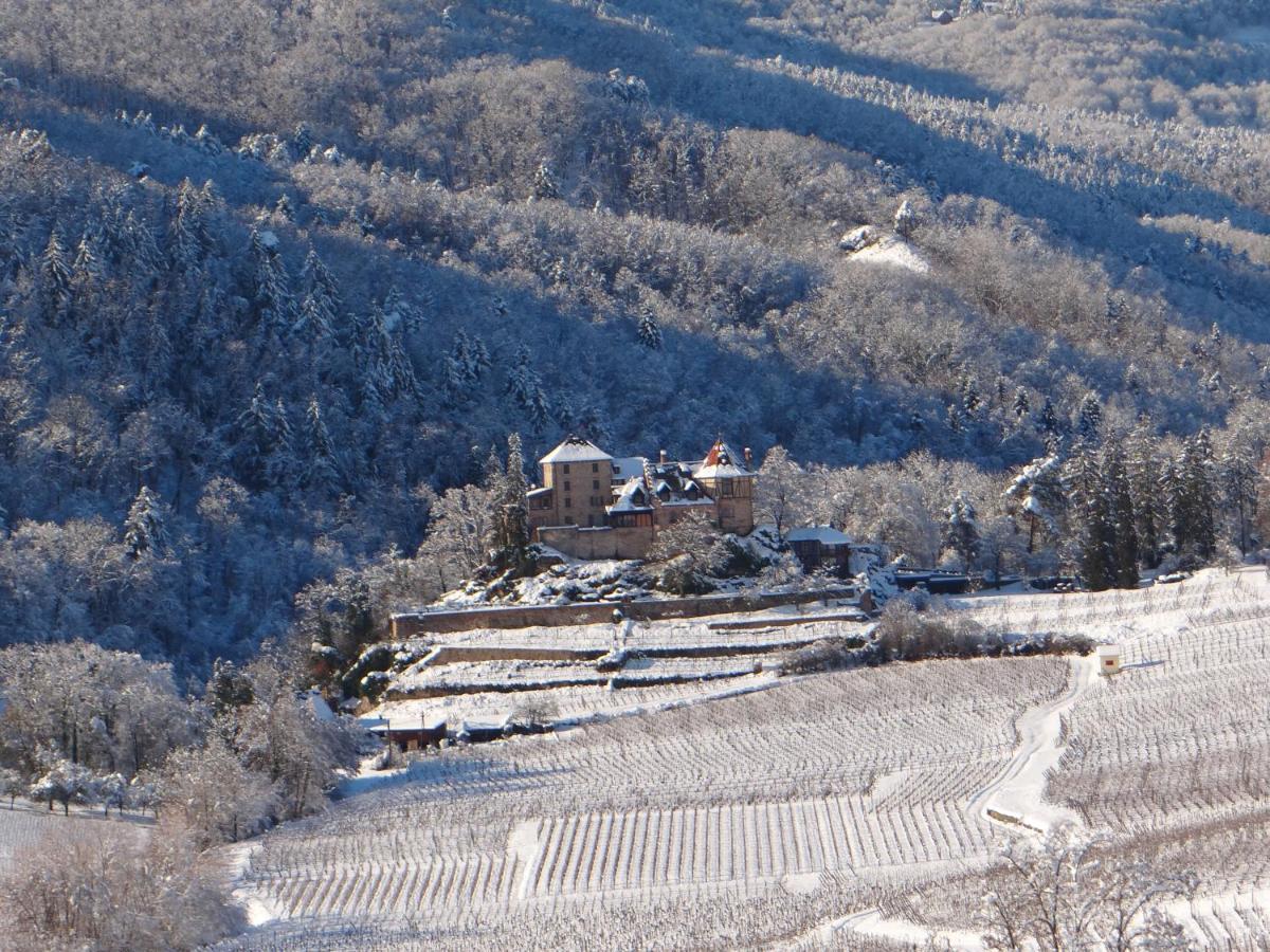 Au Coeur Des Vignes Bergheim Exterior foto
