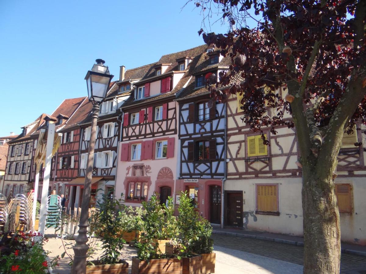 Au Coeur Des Vignes Bergheim Exterior foto
