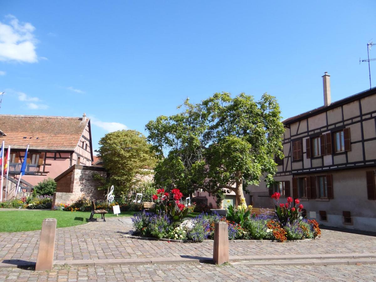 Au Coeur Des Vignes Bergheim Exterior foto