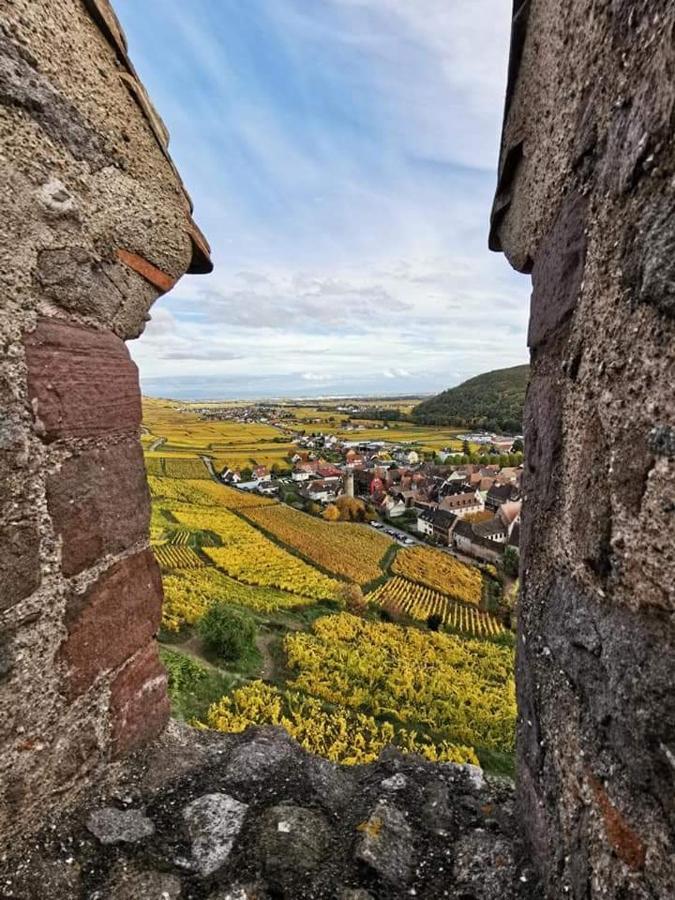 Au Coeur Des Vignes Bergheim Exterior foto